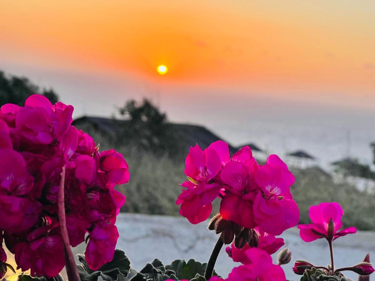 Oia Sunset House Pothitou Villa Dış mekan fotoğraf