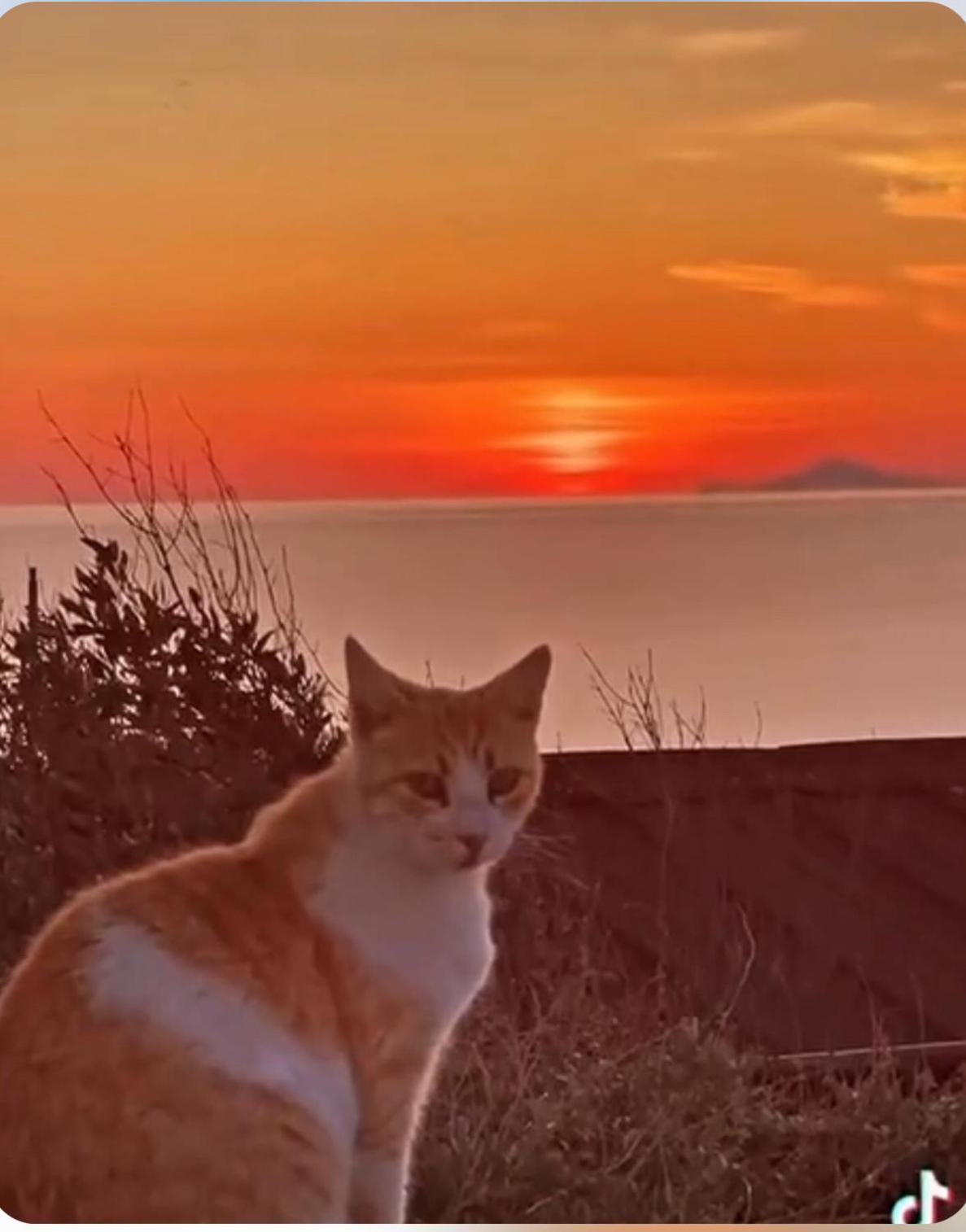 Oia Sunset House Pothitou Villa Dış mekan fotoğraf